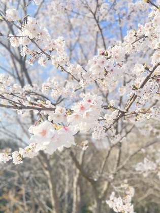 子どもに対して無関心