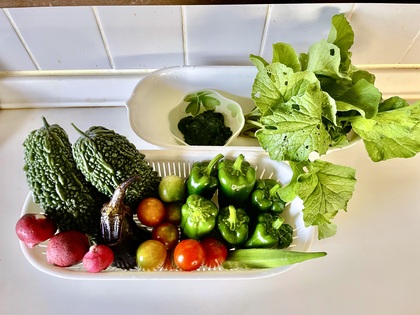 植物を育てる事による効果
