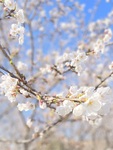 子どもの本当の気持ち